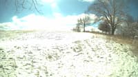 The field cam, Feb 15, 2024 at 9:35am