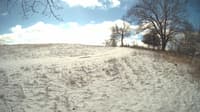 The field cam, Feb 15, 2024 at 9:35am