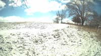 The field cam, Feb 15, 2024 at 9:56am