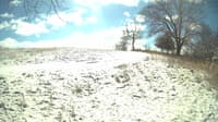 The field cam, Feb 15, 2024 at 10:00am