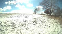 The field cam, Feb 15, 2024 at 10:02am