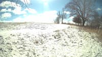 The field cam, Feb 15, 2024 at 10:04am