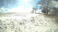 The field cam, Feb 15, 2024 at 10:08am