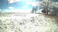 The field cam, Feb 15, 2024 at 10:10am