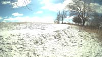 The field cam, Feb 15, 2024 at 10:11am