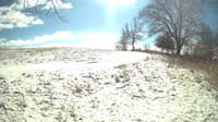 The field cam, Feb 15, 2024 at 10:35am