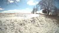 The field cam, Feb 15, 2024 at 10:40am