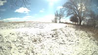 The field cam, Feb 15, 2024 at 10:43am