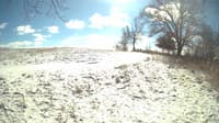 The field cam, Feb 15, 2024 at 10:46am