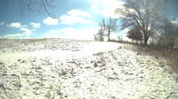 The field cam, Feb 15, 2024 at 10:47am