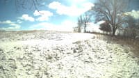 The field cam, Feb 15, 2024 at 10:48am