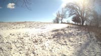 The field cam, Feb 15, 2024 at 11:40am