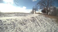 The field cam, Feb 16, 2024 at 8:11am