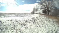 The field cam, Feb 16, 2024 at 8:24am