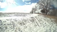 The field cam, Feb 16, 2024 at 8:26am