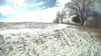 The field cam, Feb 16, 2024 at 8:27am
