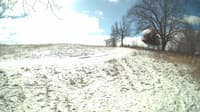 The field cam, Feb 16, 2024 at 9:06am