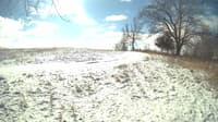 The field cam, Feb 16, 2024 at 9:17am