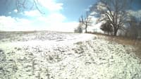 The field cam, Feb 16, 2024 at 9:20am