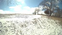 The field cam, Feb 16, 2024 at 9:23am