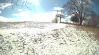 The field cam, Feb 16, 2024 at 9:26am