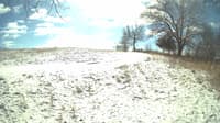 The field cam, Feb 16, 2024 at 10:00am