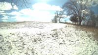 The field cam, Feb 16, 2024 at 10:05am