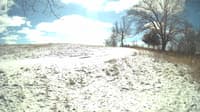 The field cam, Feb 16, 2024 at 10:07am