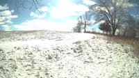 The field cam, Feb 16, 2024 at 10:11am