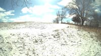 The field cam, Feb 16, 2024 at 10:13am