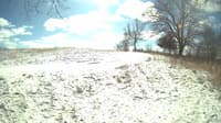 The field cam, Feb 16, 2024 at 10:13am