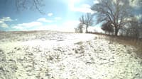 The field cam, Feb 16, 2024 at 10:31am
