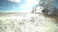 The field cam, Feb 16, 2024 at 10:37am