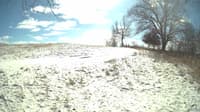 The field cam, Feb 16, 2024 at 10:43am