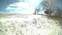 The field cam, Feb 16, 2024 at 10:44am