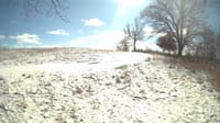 The field cam, Feb 16, 2024 at 11:02am