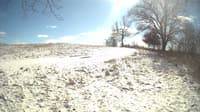 The field cam, Feb 16, 2024 at 11:14am