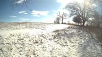 The field cam, Feb 16, 2024 at 11:37am
