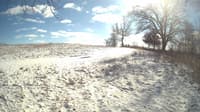 The field cam, Feb 16, 2024 at 11:44am