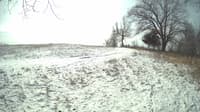 The field cam, Feb 17, 2024 at 9:08am
