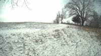 The field cam, Feb 17, 2024 at 9:14am
