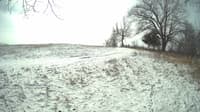 The field cam, Feb 17, 2024 at 9:24am