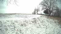 The field cam, Feb 17, 2024 at 9:54am