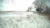 The field cam, Feb 17, 2024 at 9:55am