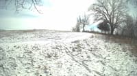The field cam, Feb 17, 2024 at 10:52am