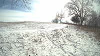The field cam, Feb 17, 2024 at 10:59am