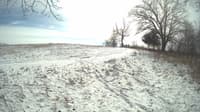 The field cam, Feb 17, 2024 at 11:02am