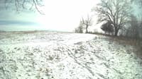 The field cam, Feb 17, 2024 at 11:10am