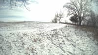 The field cam, Feb 17, 2024 at 11:12am
