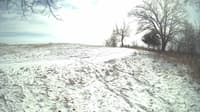 The field cam, Feb 17, 2024 at 11:12am